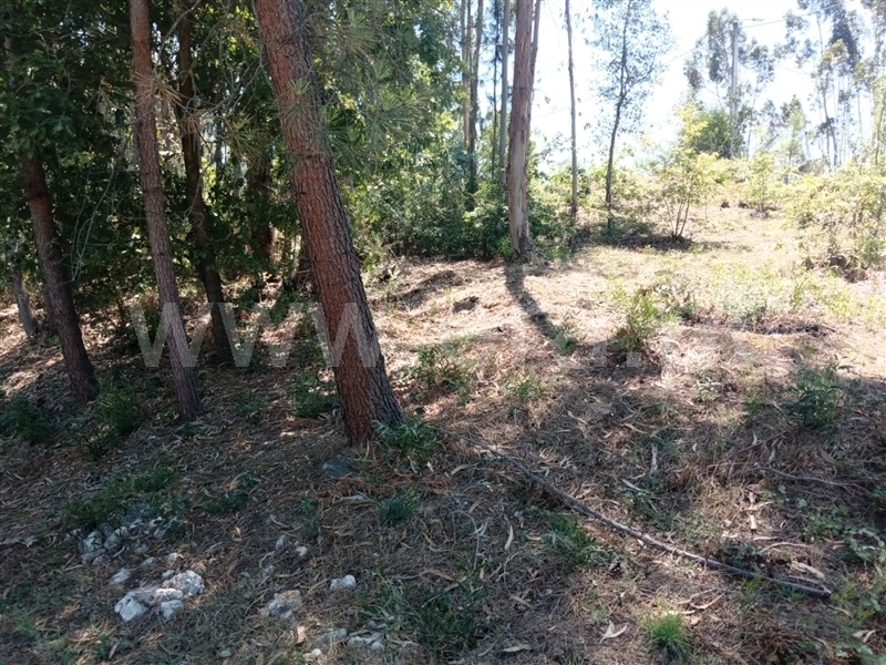 Terreno  Gondomar, Melres e Medas - 1260018 - 5