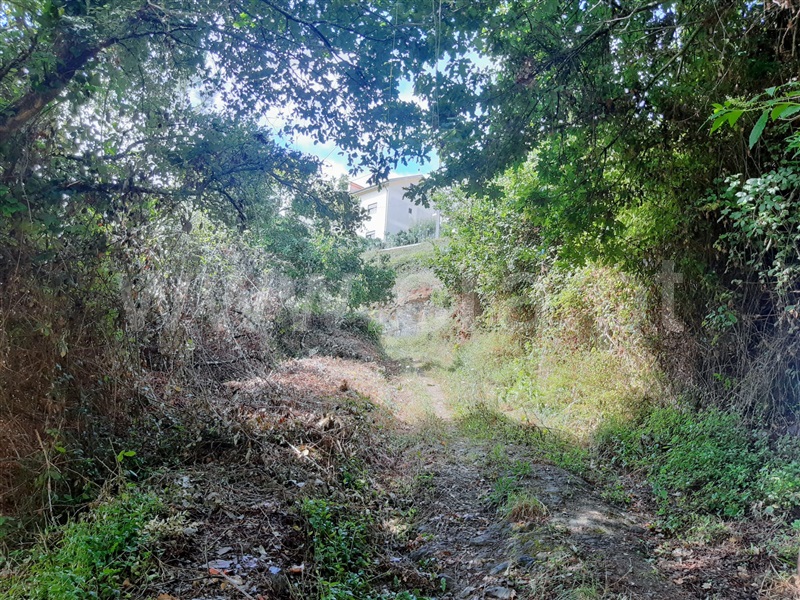 Terreno  Gondomar, Melres - 1190159 - 2
