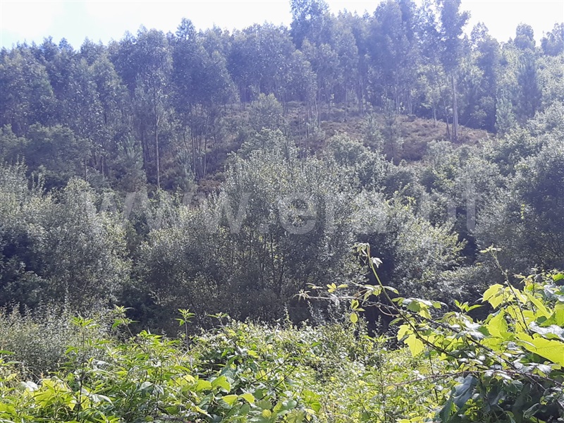 Terreno  Gondomar, Melres - 1190159 - 3