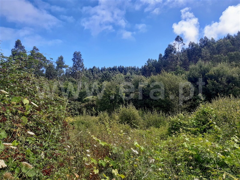 Terreno  Gondomar, Melres - 1190159 - 4