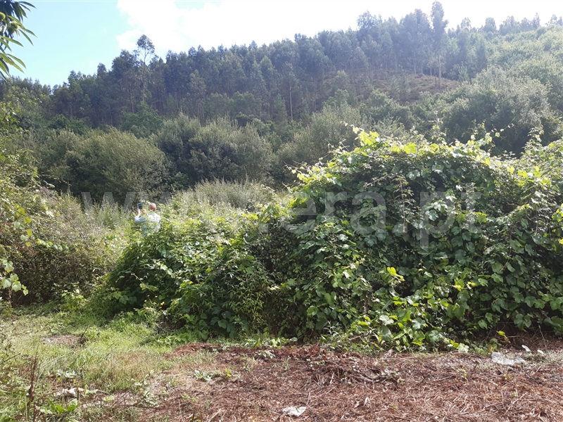 Terreno  Gondomar, Melres - 1190159 - 5