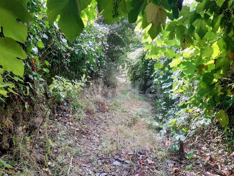 Terreno  Gondomar, Melres - 1190159 - 7
