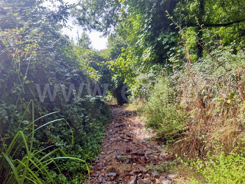 Terreno  Gondomar, Melres - 1190159 - 8