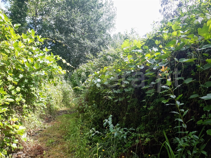 Terreno  Gondomar, Melres - 1190159 - 9