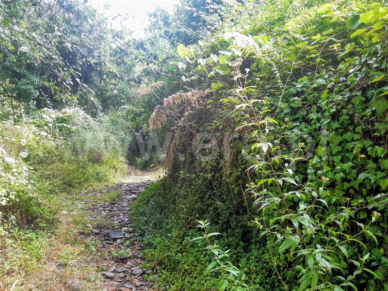 Terreno  Gondomar, Melres - 1190159 - 10