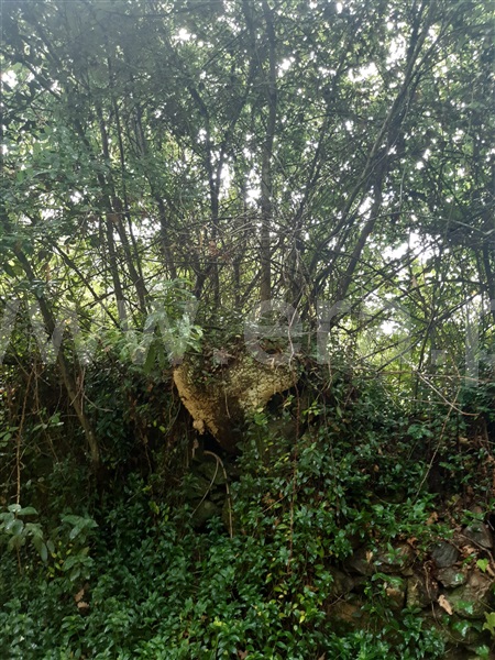 Terreno  Gondomar, Melres - 1190159 - 11