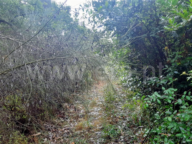 Terreno  Gondomar, Melres - 1190159 - 14