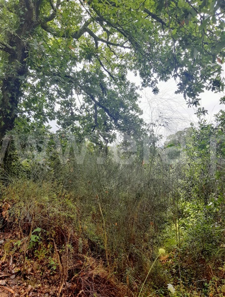 Terreno  Gondomar, Melres - 1190159 - 16