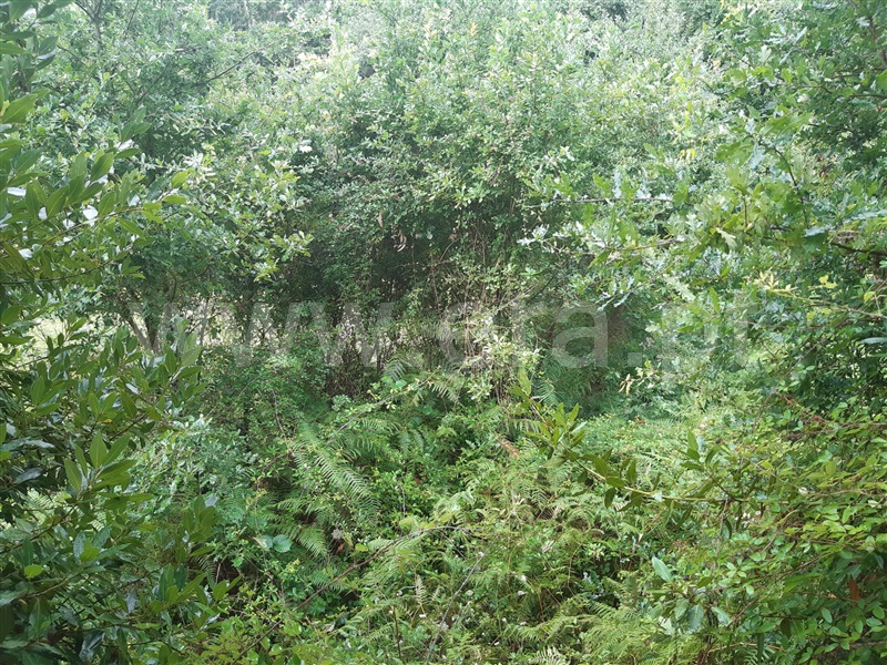 Terreno  Gondomar, Melres - 1190159 - 17