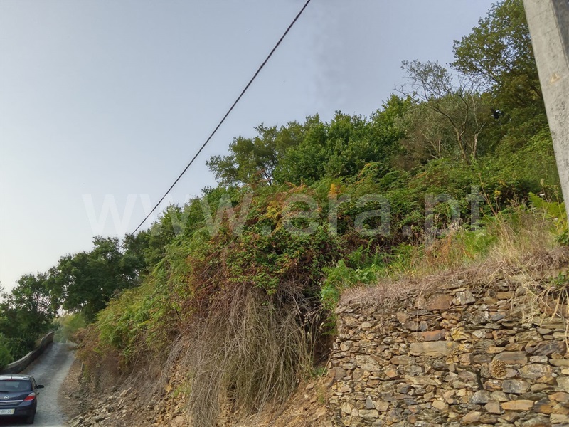 Terreno  Gondomar, Melres - 1195851 - 3