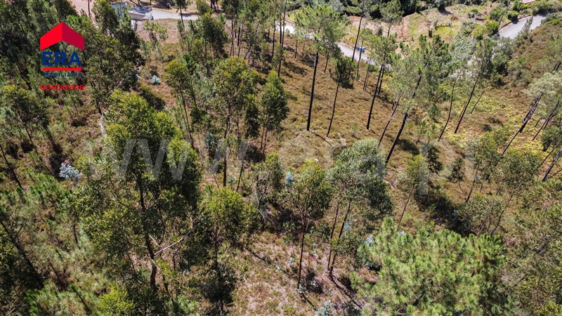 Terreno  Gondomar, Melres - 1214325 - 21