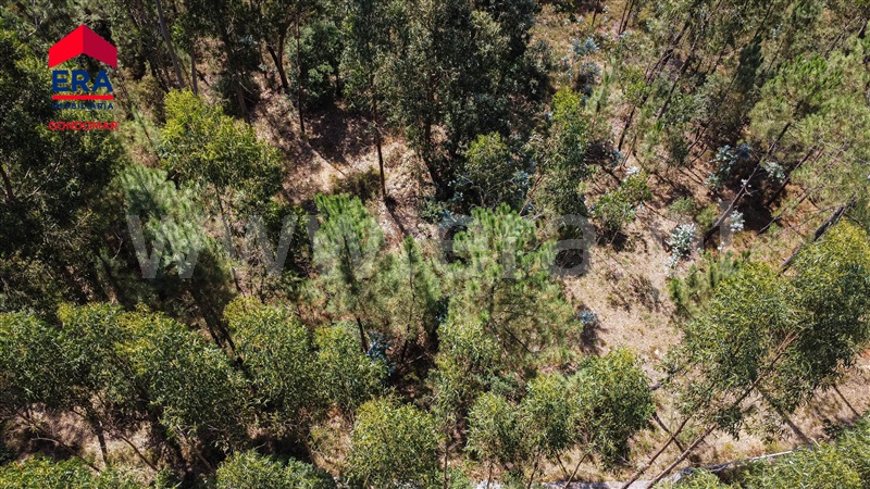Terreno  Gondomar, Melres - 1214325 - 23