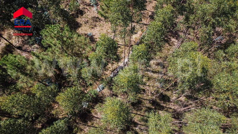Terreno  Gondomar, Melres - 1214325 - 27