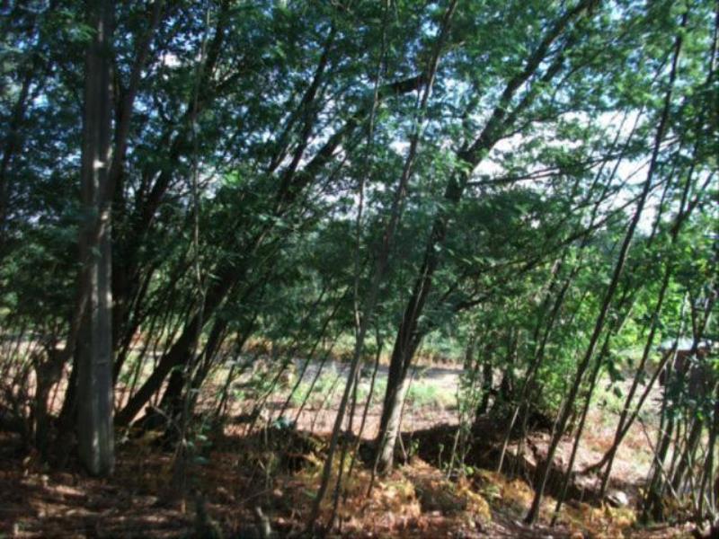 Terreno  Gondomar, Melres - 152228 - 2