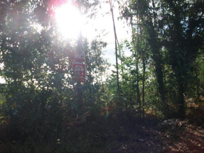Terreno  Gondomar, Melres - 152228 - 8