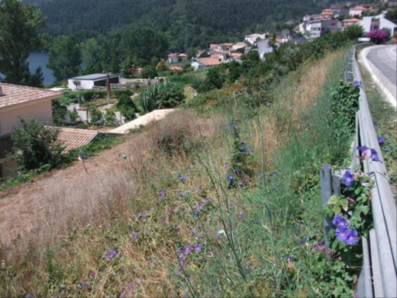 Terreno / Gondomar, Melres