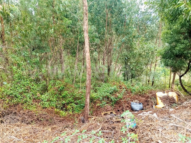 Terreno  Gondomar, Fânzeres e São Pedro da Cova - 1273885 - 6