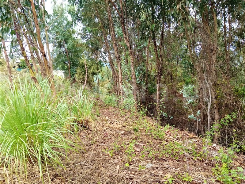 Terreno  Gondomar, Fânzeres e São Pedro da Cova - 1273885 - 7