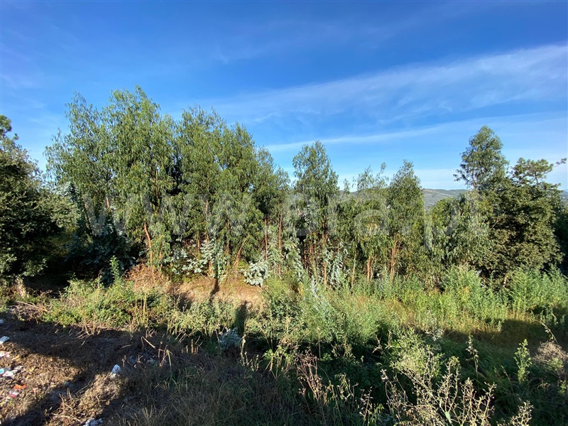 Terreno  Gondomar, SPC 2 - 1003583 - 6
