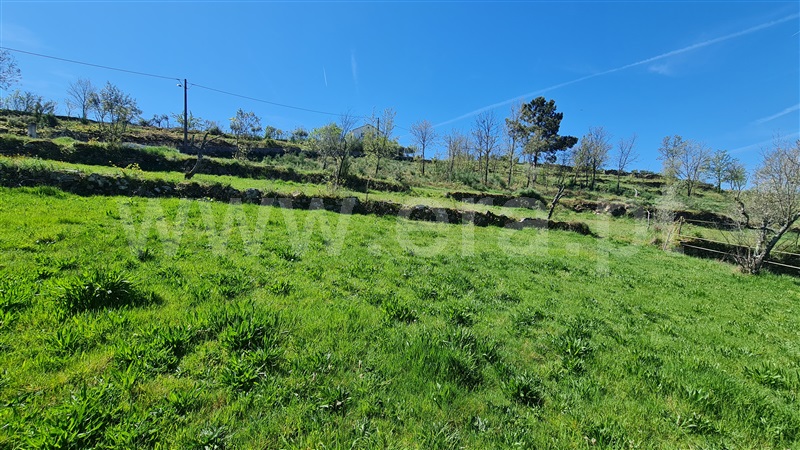 Terreno  Gouveia, Aldeias e Mangualde da Serra - 1315808 - 3