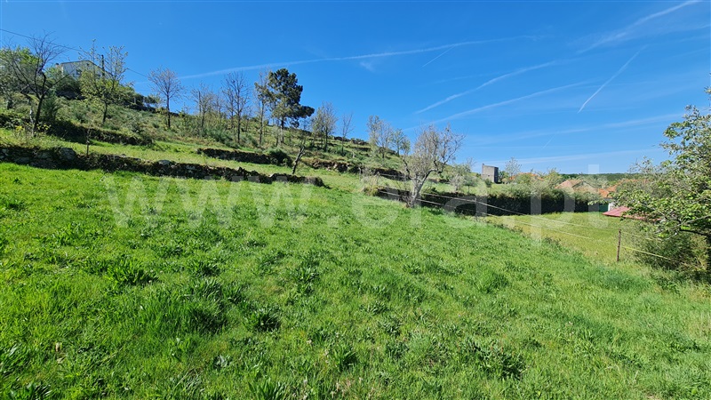Terreno  Gouveia, Aldeias e Mangualde da Serra - 1315808 - 4