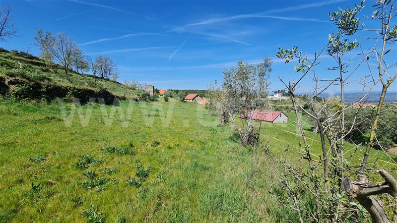 Terreno  Gouveia, Aldeias e Mangualde da Serra - 1315808 - 5
