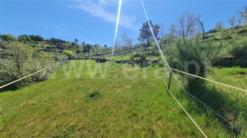 Terreno  Gouveia, Aldeias e Mangualde da Serra - 1315808 - 6