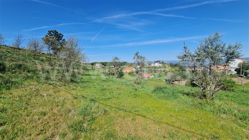 Terreno  Gouveia, Aldeias e Mangualde da Serra - 1315808 - 8