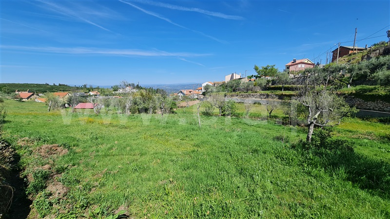 Terreno  Gouveia, Aldeias e Mangualde da Serra - 1315808 - 9