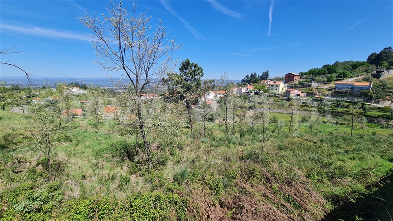 Terreno  Gouveia, Aldeias e Mangualde da Serra - 1315808 - 10