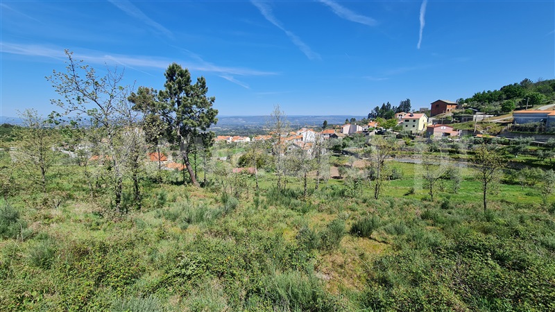 Terreno  Gouveia, Aldeias e Mangualde da Serra - 1315808 - 12
