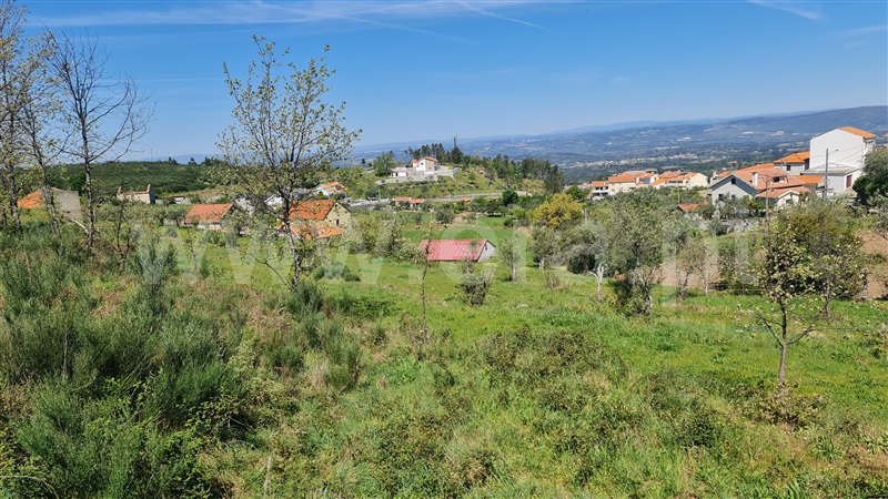 Terreno  Gouveia, Aldeias e Mangualde da Serra - 1315808 - 13