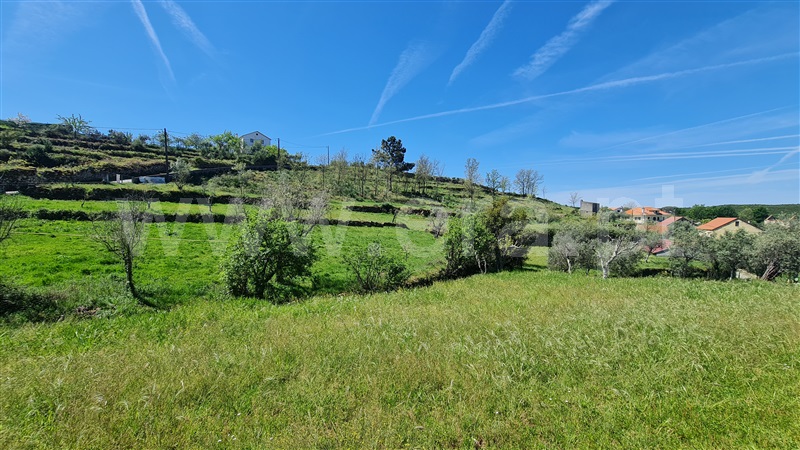Terreno  Gouveia, Aldeias e Mangualde da Serra - 1315808 - 18
