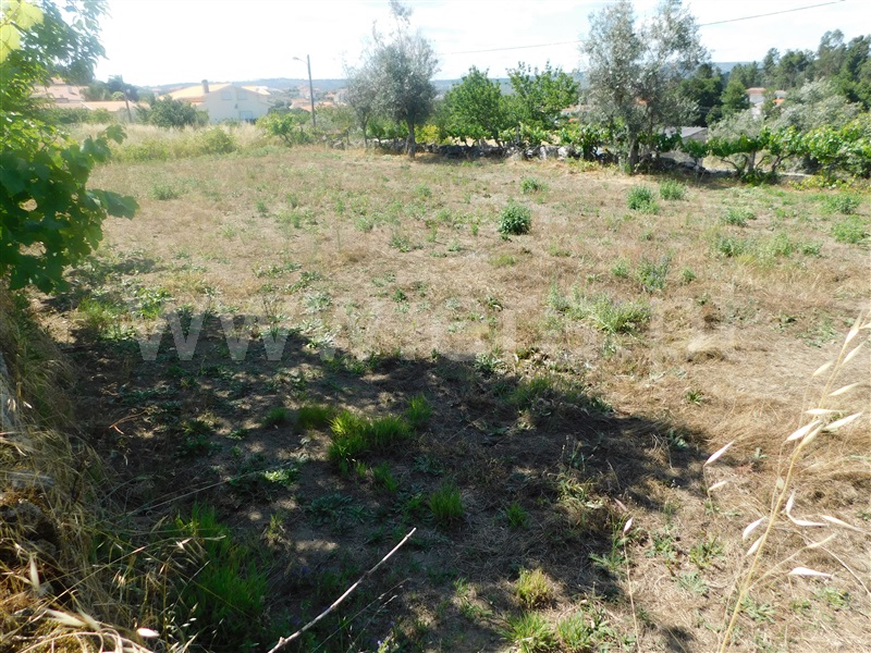 Terreno  Gouveia, Cativelos - 1257640 - 4