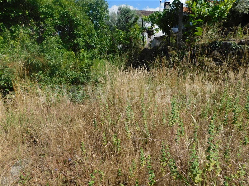 Terreno  Gouveia, Cativelos - 1257640 - 5