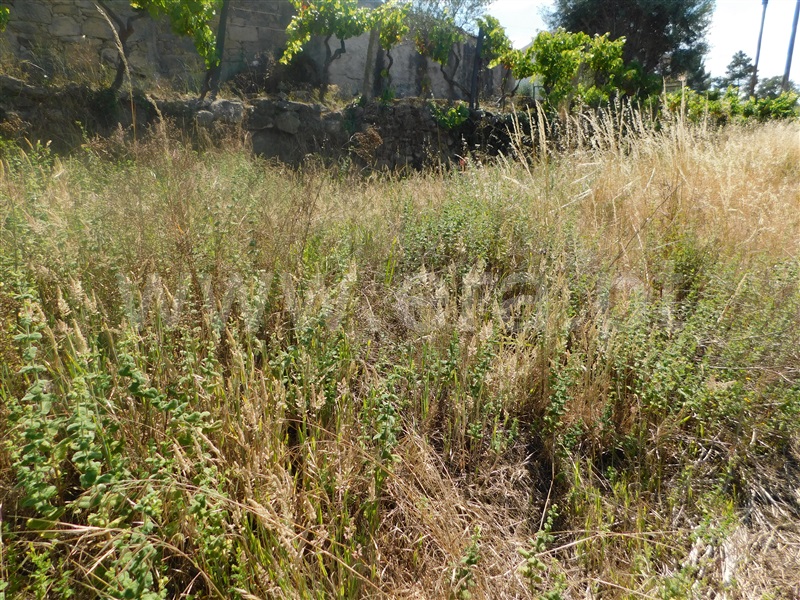 Terreno  Gouveia, Cativelos - 1257640 - 6