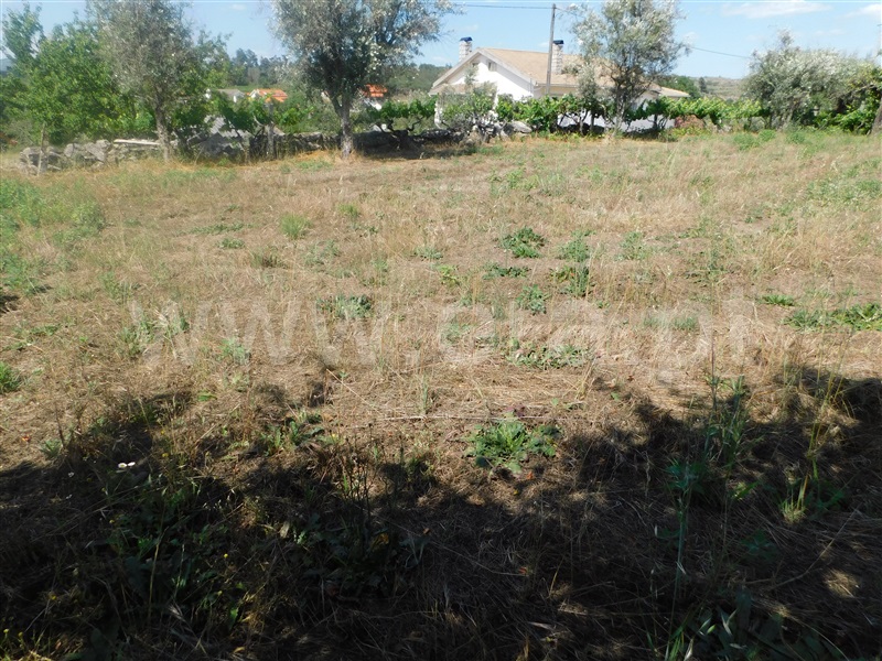 Terreno  Gouveia, Cativelos - 1257640 - 9