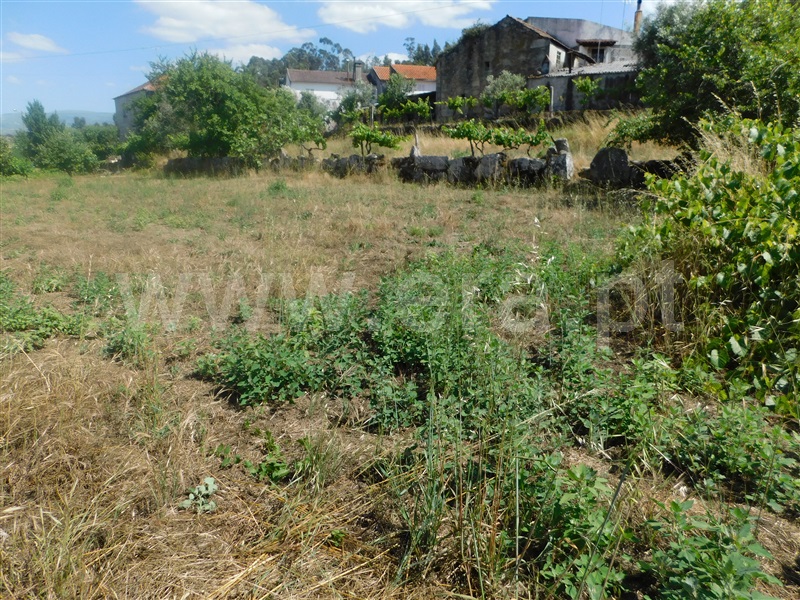 Terreno  Gouveia, Cativelos - 1257640 - 11