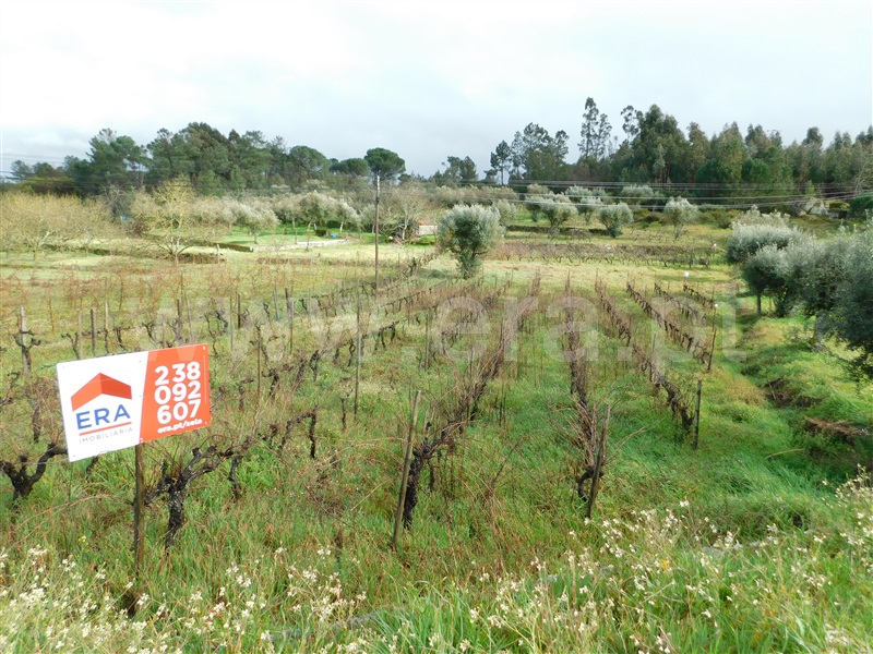 Terreno  Gouveia, Cativelos - 1315183 - 3