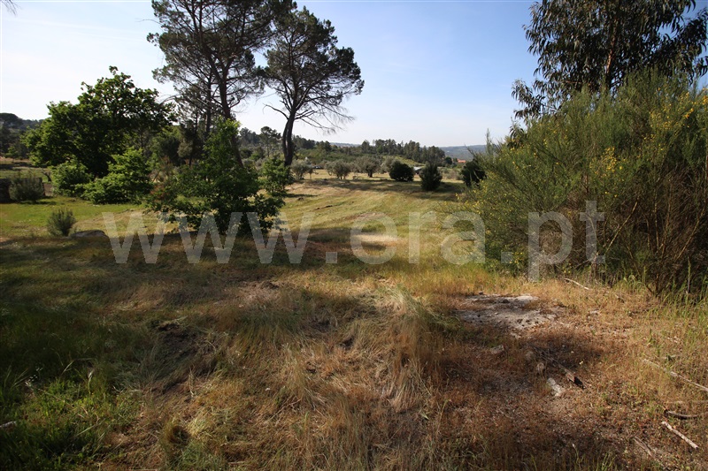 Terreno  Gouveia, Cativelos - 1321255 - 5