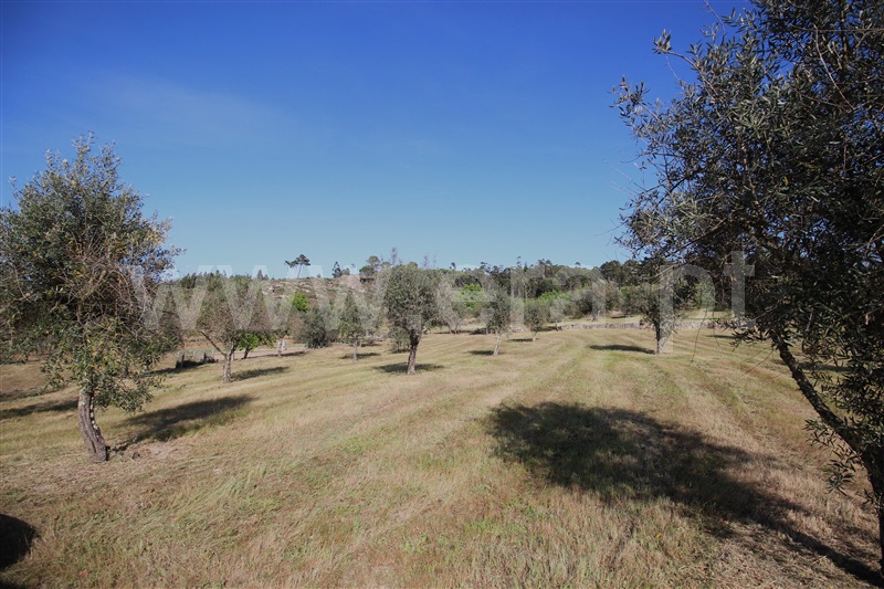 Terreno  Gouveia, Cativelos - 1321255 - 8