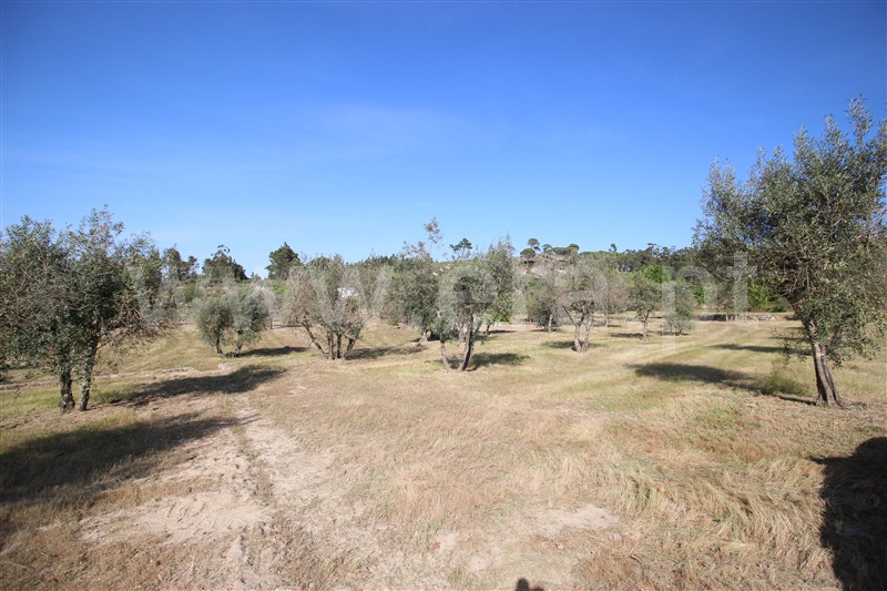 Terreno  Gouveia, Cativelos - 1321255 - 10