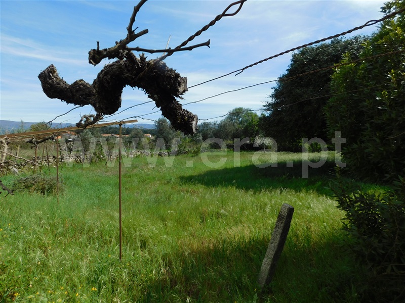 Terreno  Gouveia, Cativelos - 1322941 - 2