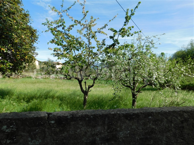 Terreno  Gouveia, Cativelos - 1322941 - 5