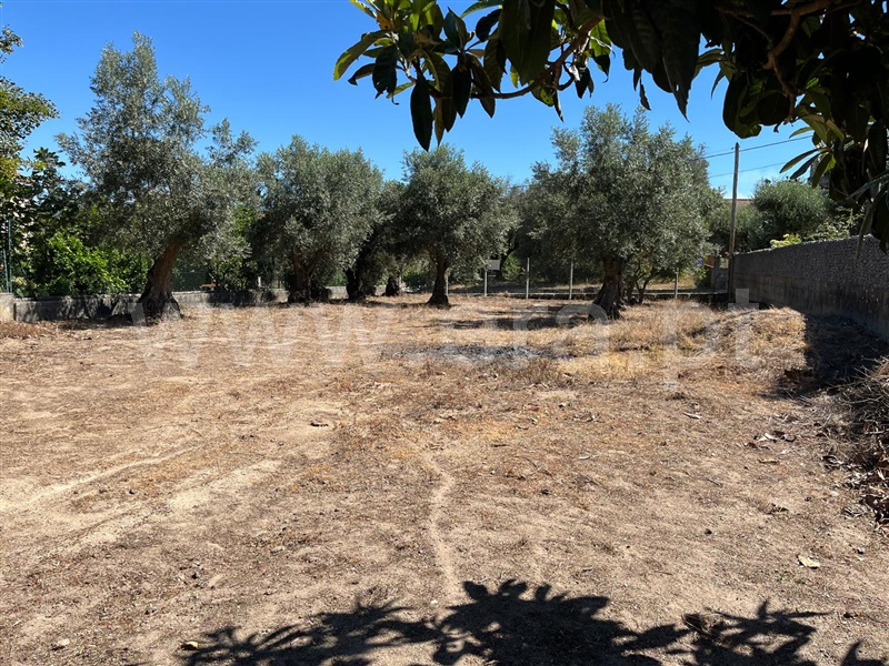 Terreno / Gouveia, Cativelos