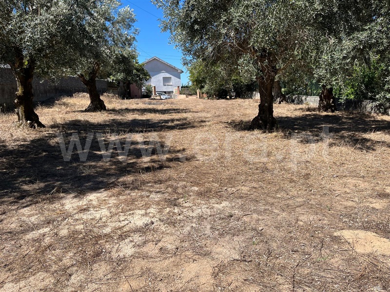 Terreno  Gouveia, Cativelos - 1428670 - 3