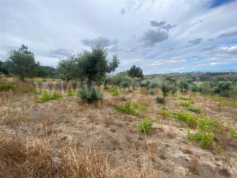 Terreno  Gouveia, Cativelos - 1505729 - 2