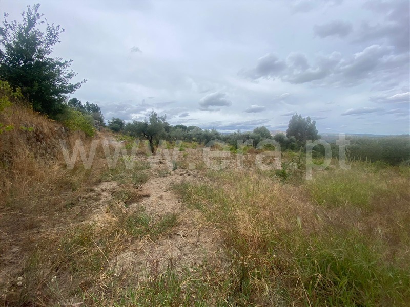 Terreno  Gouveia, Cativelos - 1505729 - 3