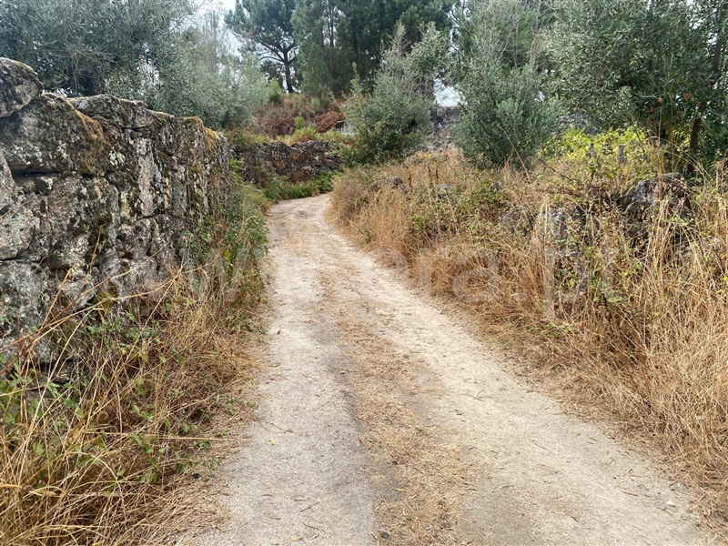 Terreno  Gouveia, Cativelos - 1505729 - 5