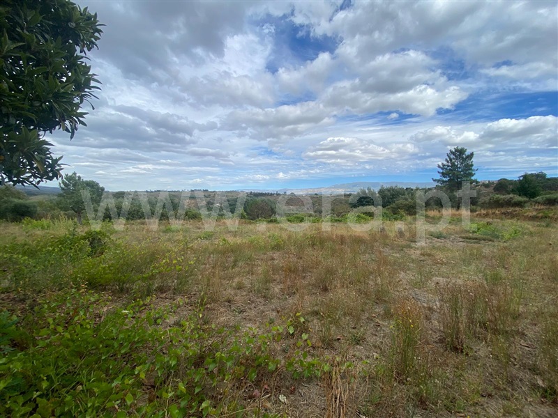 Terreno  Gouveia, Cativelos - 1505729 - 6